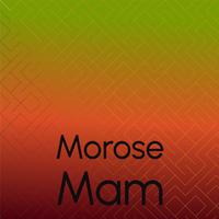 Morose Mam