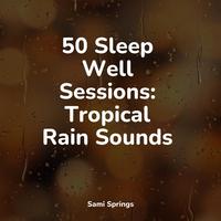 50 Peaceful Winter Rain Tracks