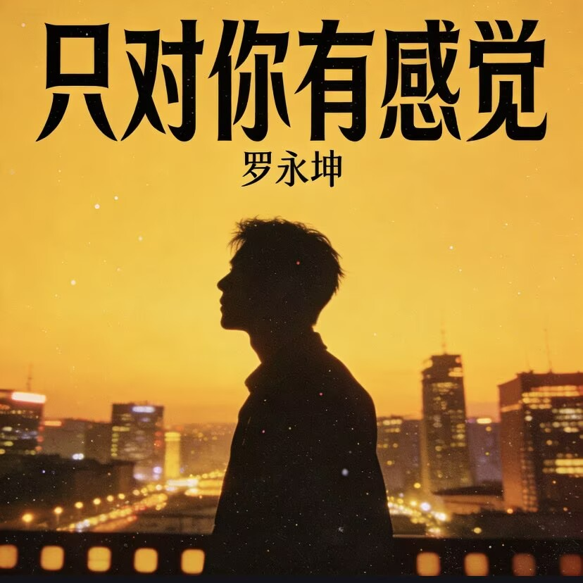 只对你有感觉封面