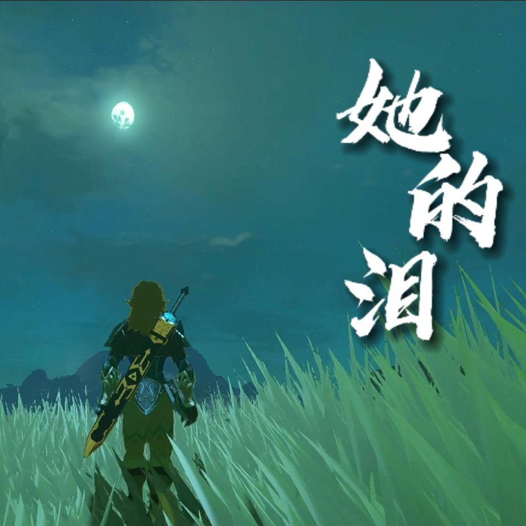 她的泪封面
