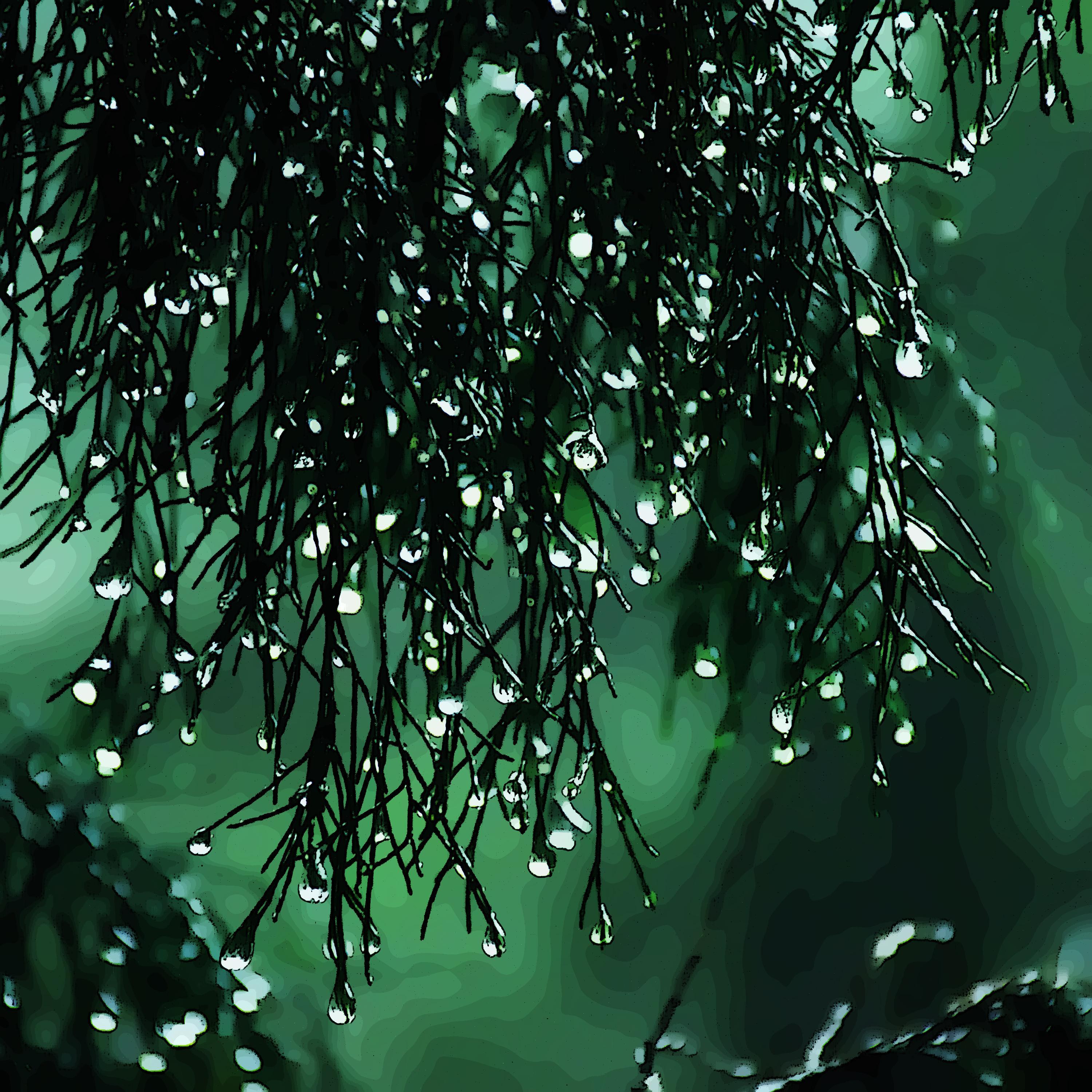 resplandece (Rain Version)