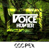 Voice Hunter