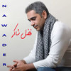 Fadel Shaker - Mabrouk Najd (Live)