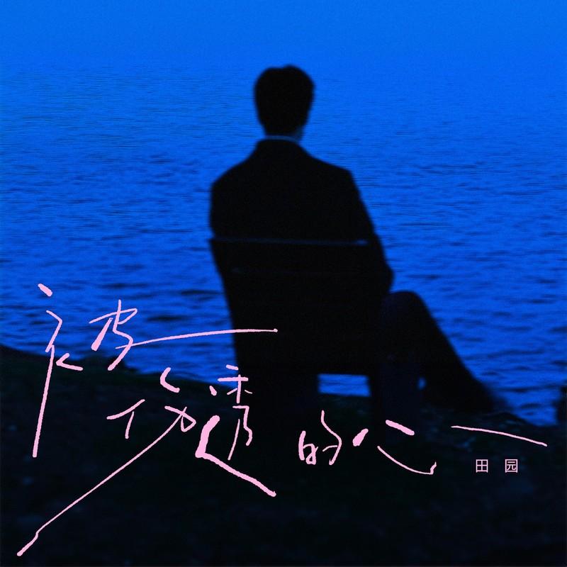被伤透的心 - 田园封面