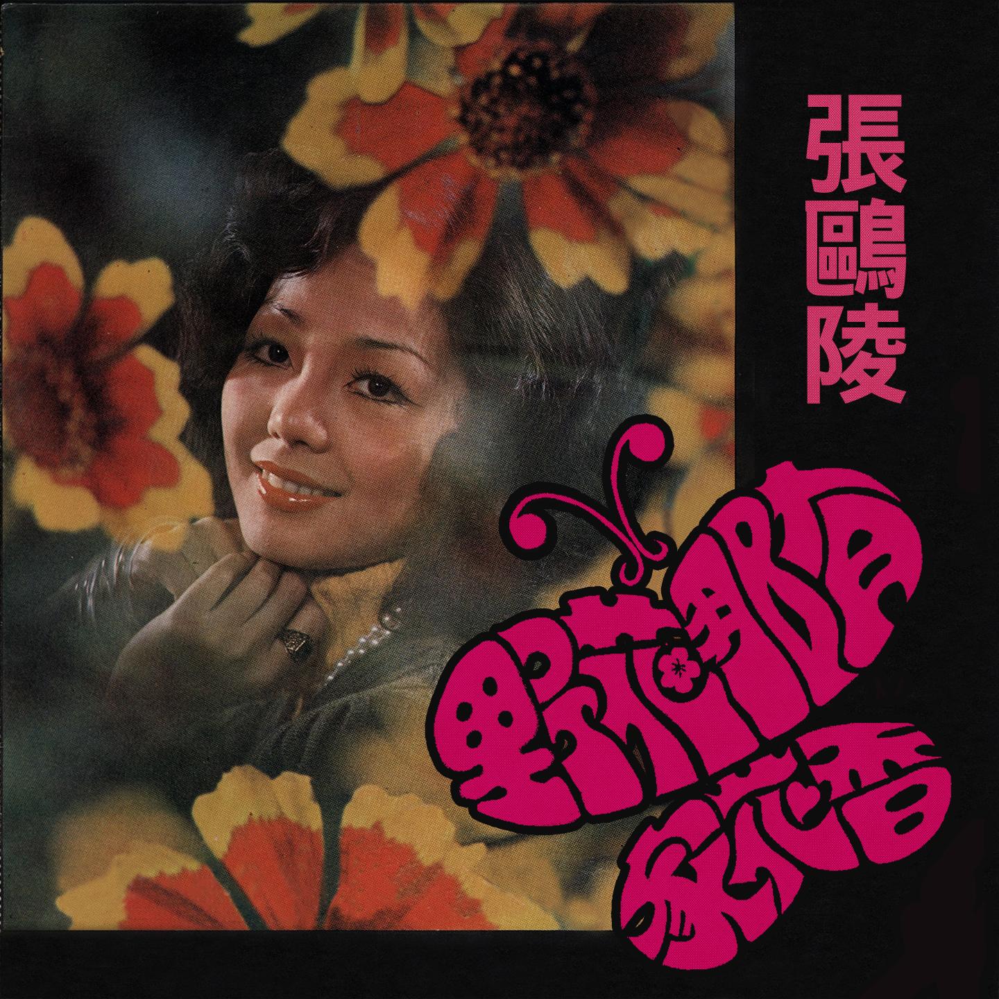 輕輕的一吻封面