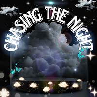 Chasing The Night