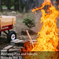 Realxing Fire and Insects Sounds, Vol. 17