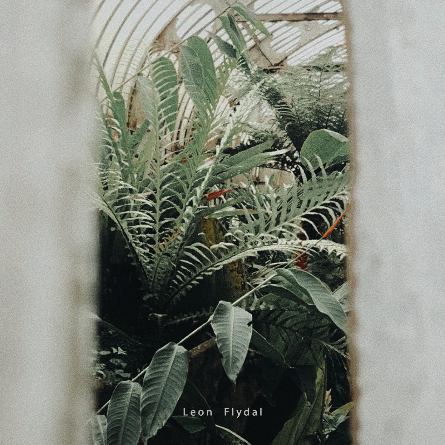 Elevations_Leon Flydal_Elevation EP | 在线播放_Elevations歌词_Elevations下载 | 网易云音乐