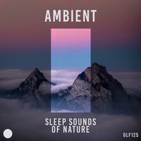 Ambient