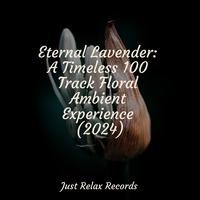 Eternal Lavender: A Timeless 100 Track Floral Ambient Experience (2024)