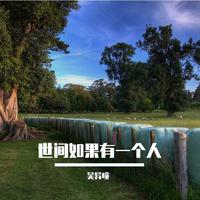 世间如果有一个人