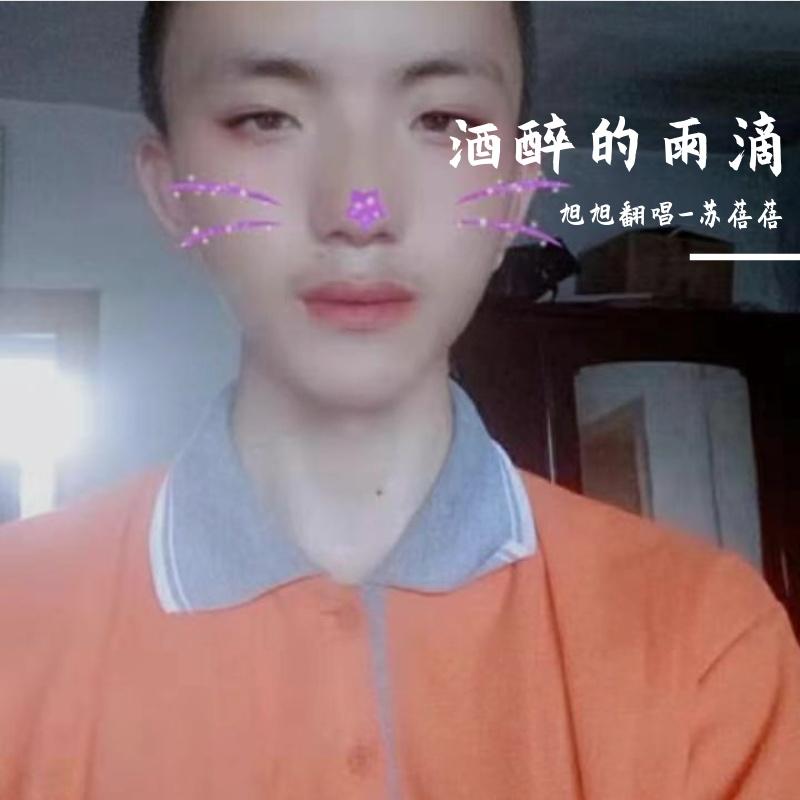 酒醉的雨滴封面