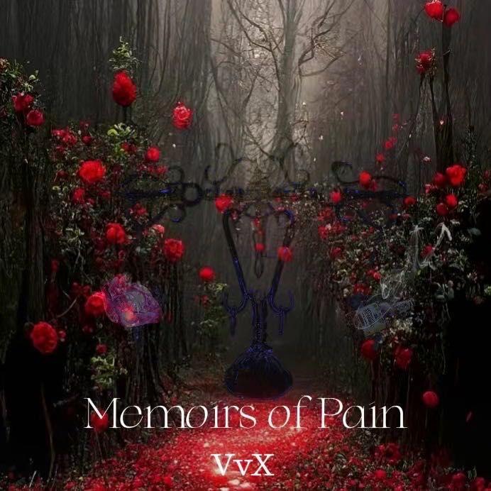 如果我是配角也没有关系的