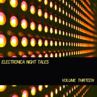 Electronica Night Tales, Vol. 13