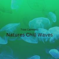 Tidal Calmness: Natures Chill Waves