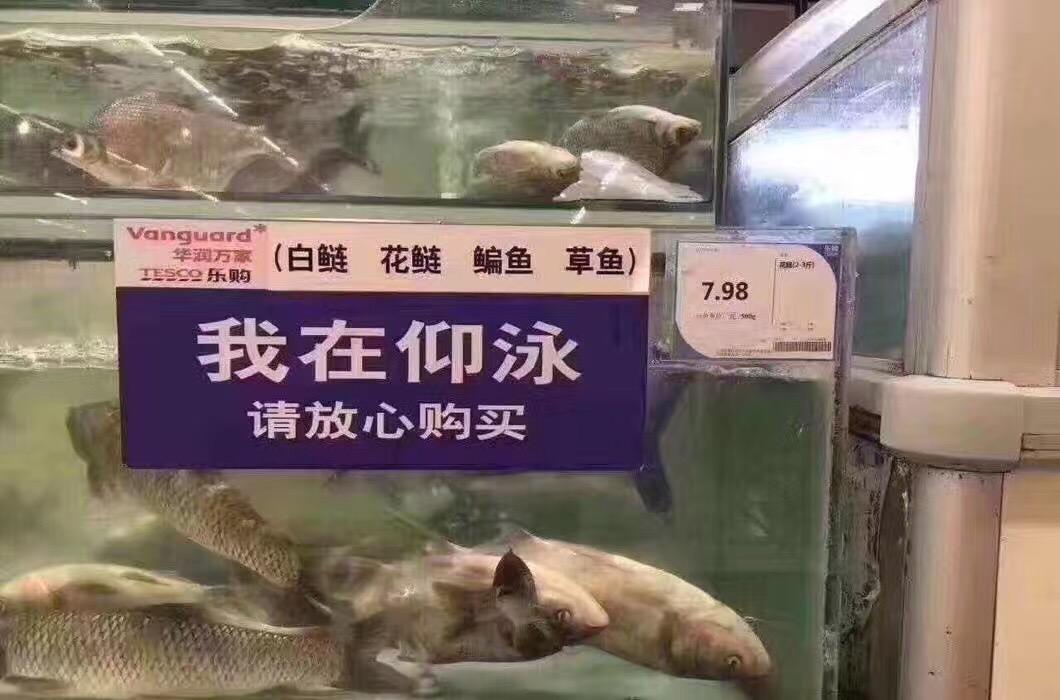 允许部分艺术家先富起来封面