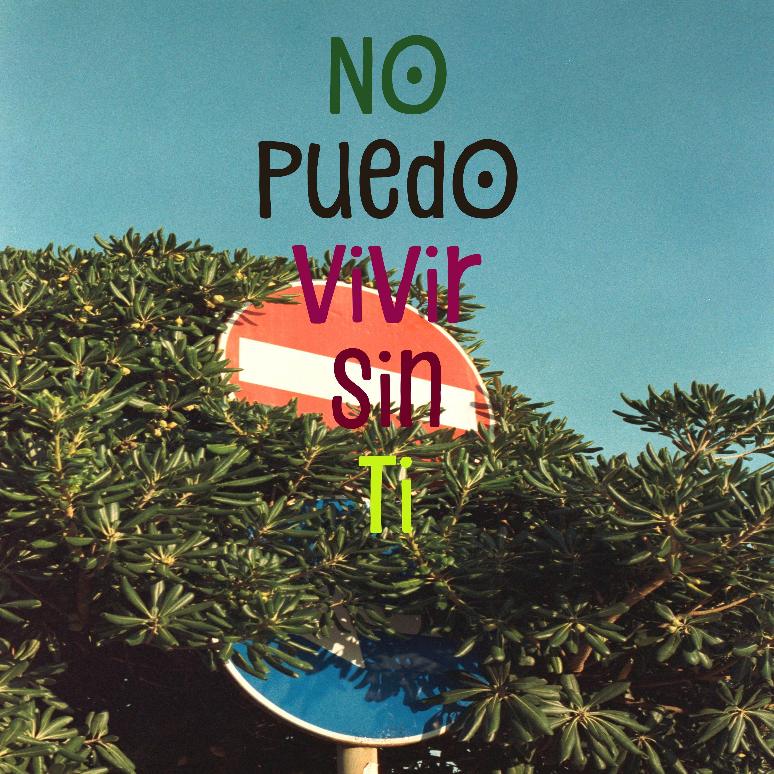 No Puedo Vivir Sin Ti