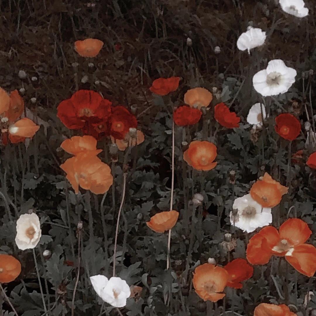 如一（翻自 不是花火呀）