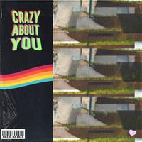 Crazy About You [Theo Remix]