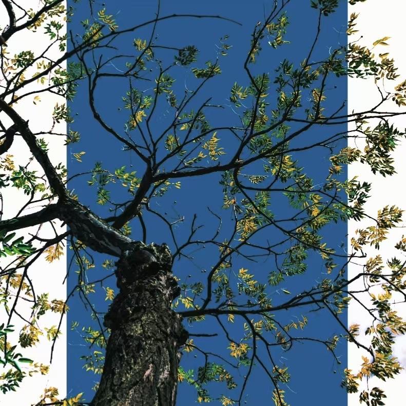 MAQABATYM 「 Speed Up 」