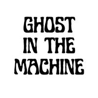 Ghost in the Machine