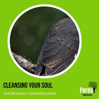 Cleansing Your Soul - Nature Music for Mindfulness