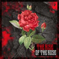 The Rise of The Rose