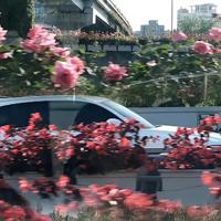 失眠信