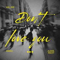 Don't Love You