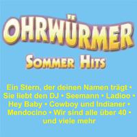 Ohrwürmer - Sommer Hits