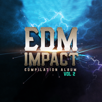 EDM IMPACT, Vol. 2