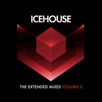 The Extended Mixes Vol. 2