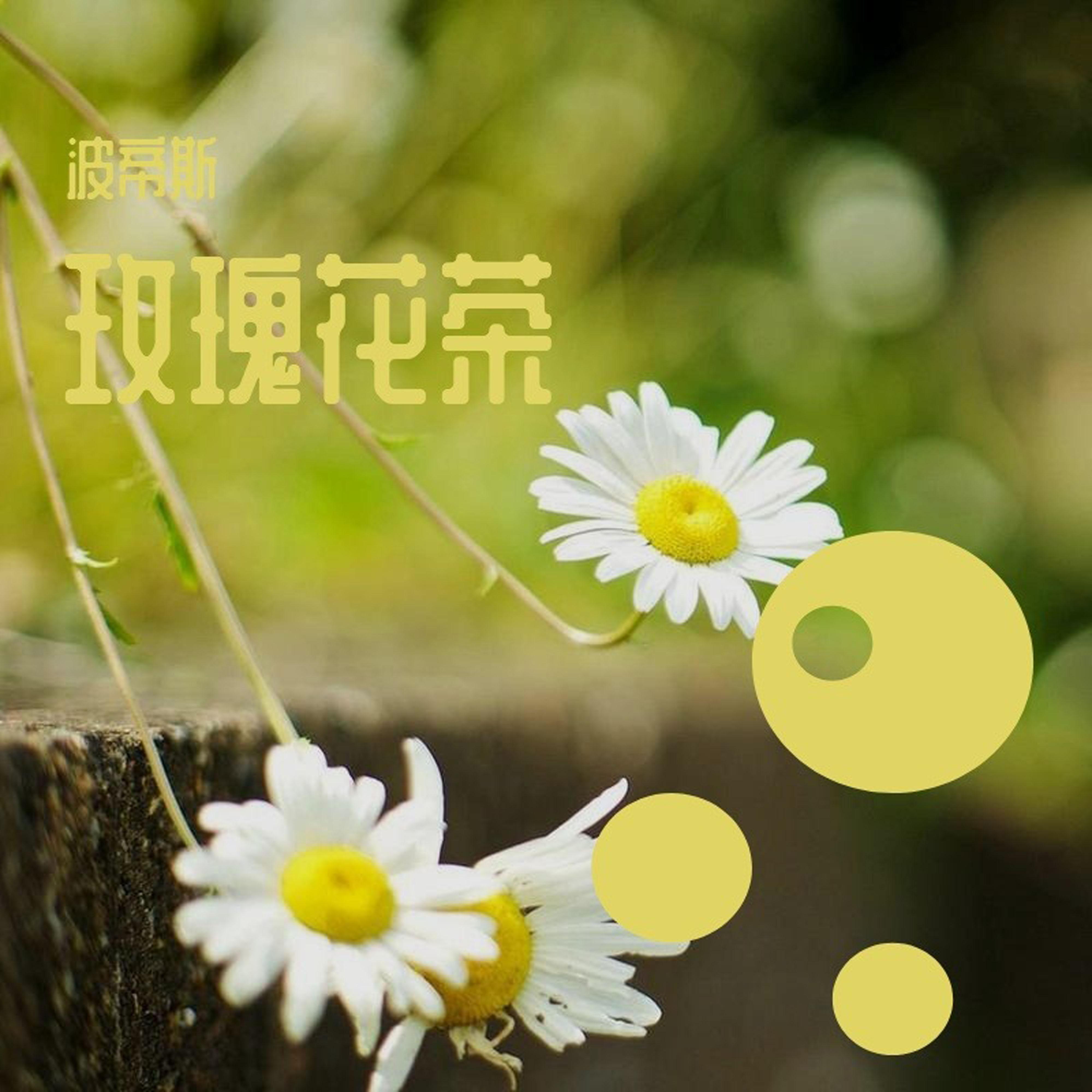 英伦摇摆封面