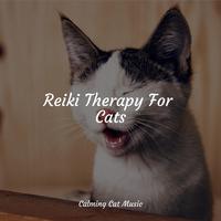 Reiki Therapy For Cats