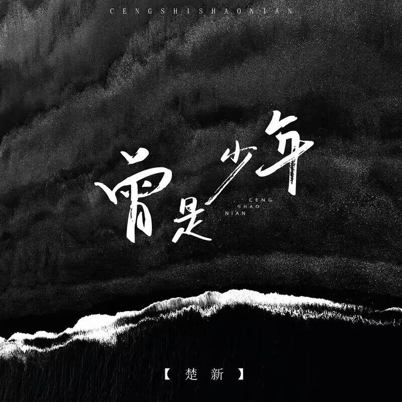 曾是少年封面