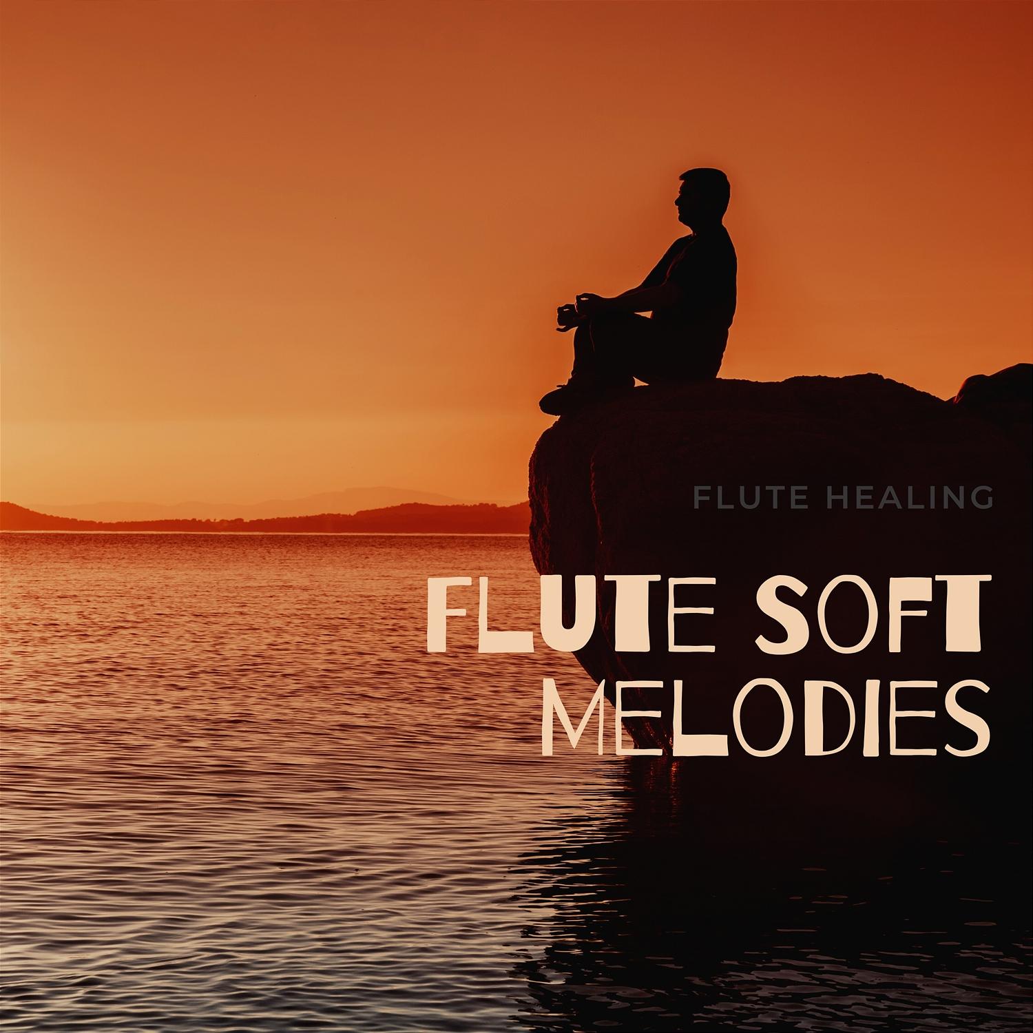 Into the Memory_Flute Healing_Flute Soft Melodies | 在线播放_Into the Memory歌词_Into the Memory下载 | 网易云音乐