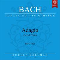 Violin Sonata No. 1 in G Minor, BWV 1001: I. Adagio