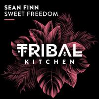 Sweet Freedom (Extended Mix)