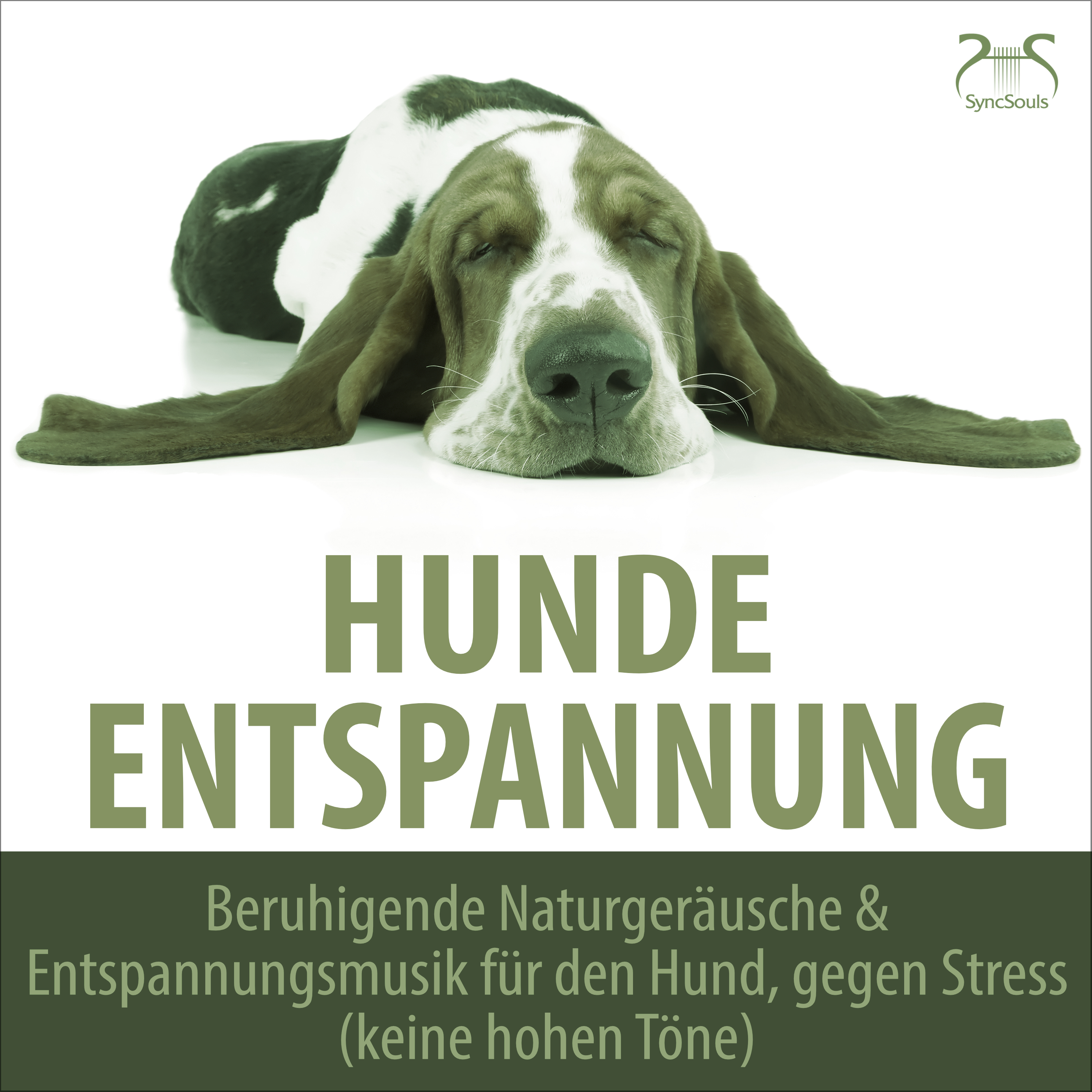 Relaxing sounds for dogs