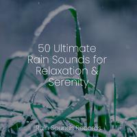 50 Ultimate Rain Sounds for Relaxation & Serenity