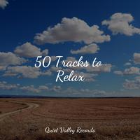 50 Tracks to Relax