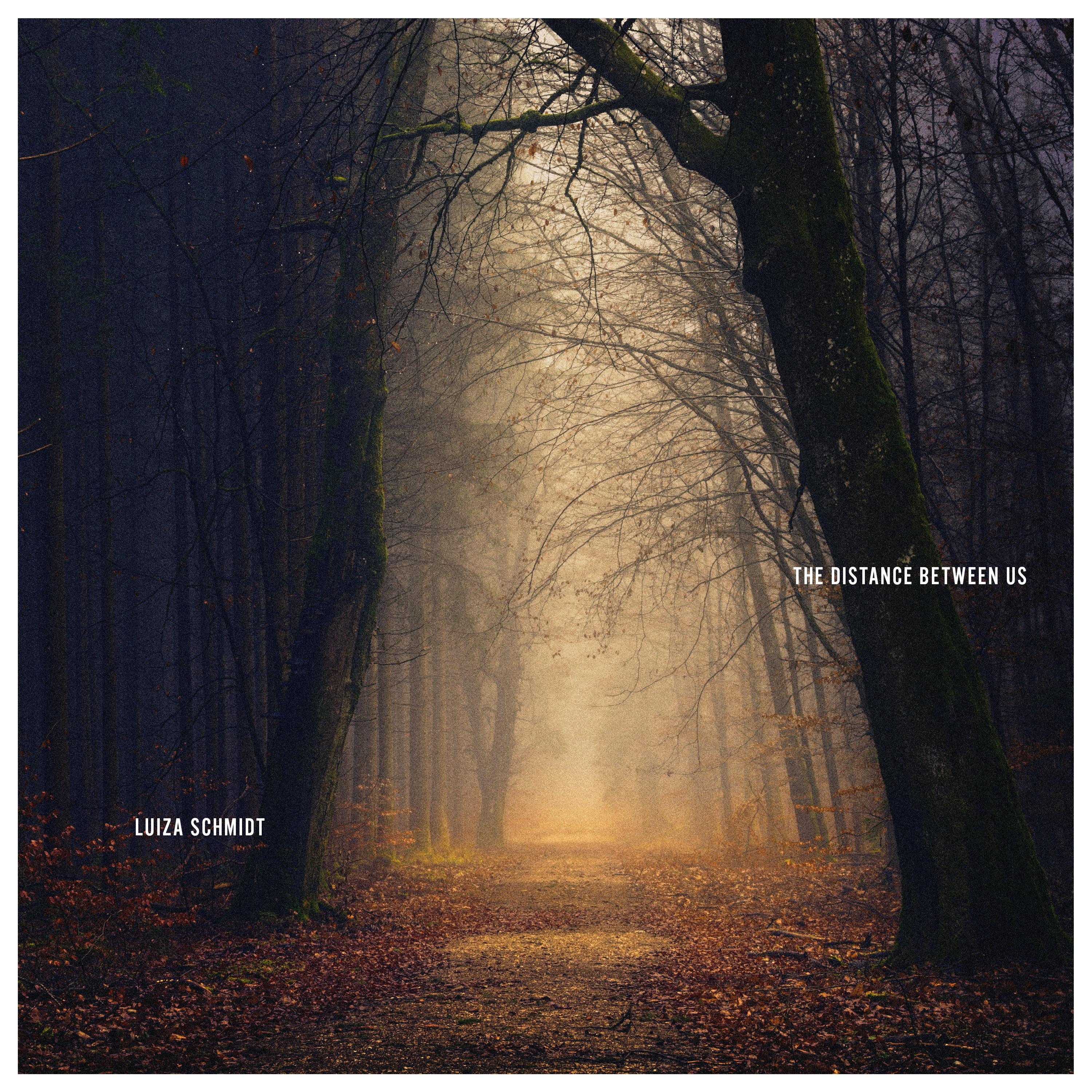 The distance between us