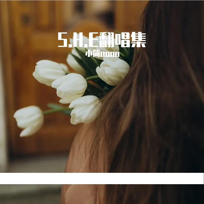 半糖主义（Cover：S.H.E)封面