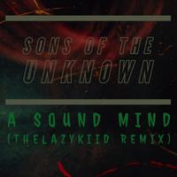 Sons Of The Unknown