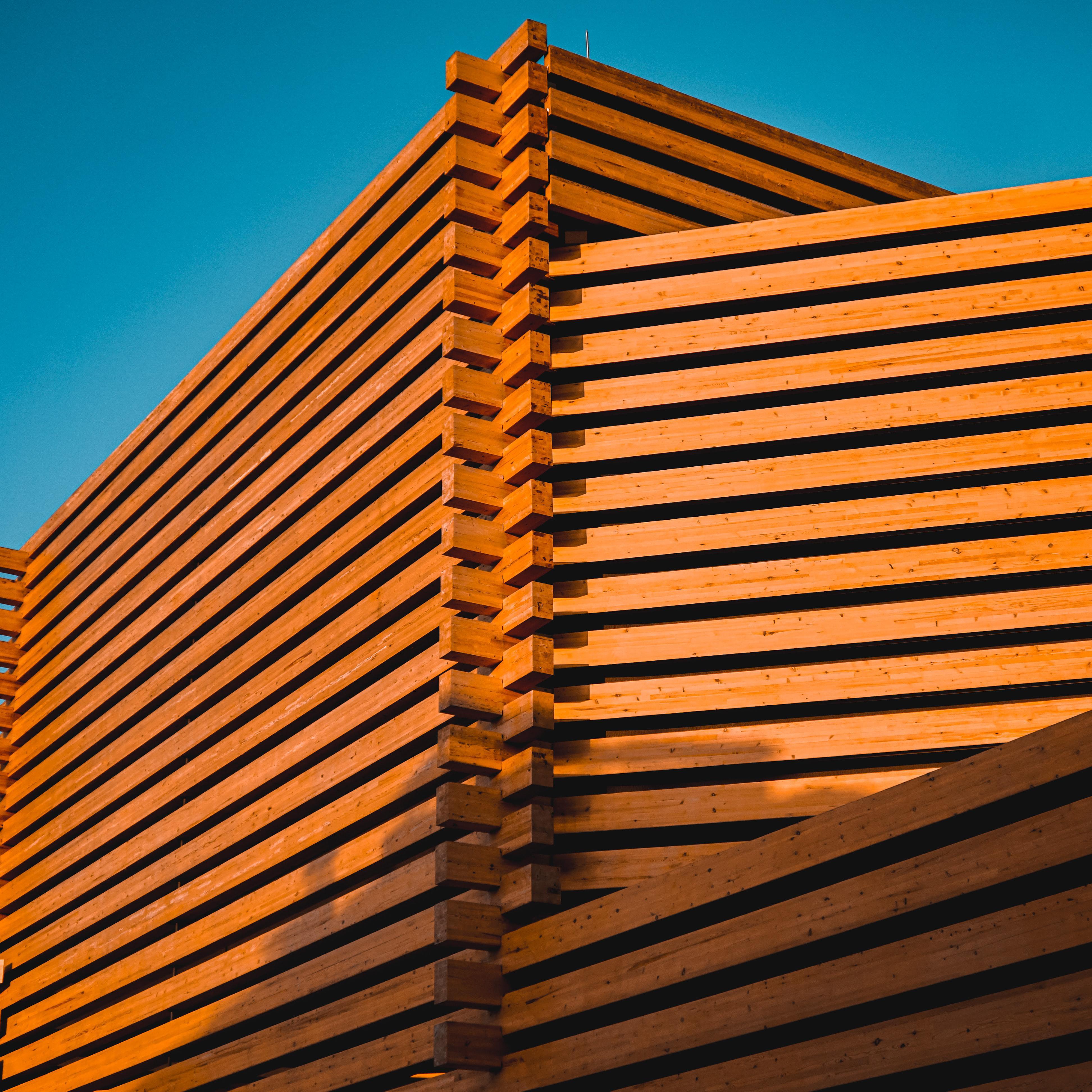 森林的雨丨自然音丨白噪音