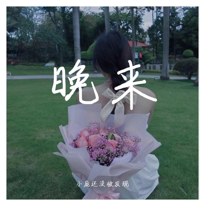 《晚来》 - 小庞还没被发现、庞贝贝封面