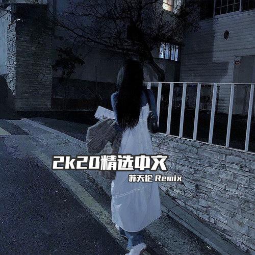 哈尼宝贝(DJ版)封面