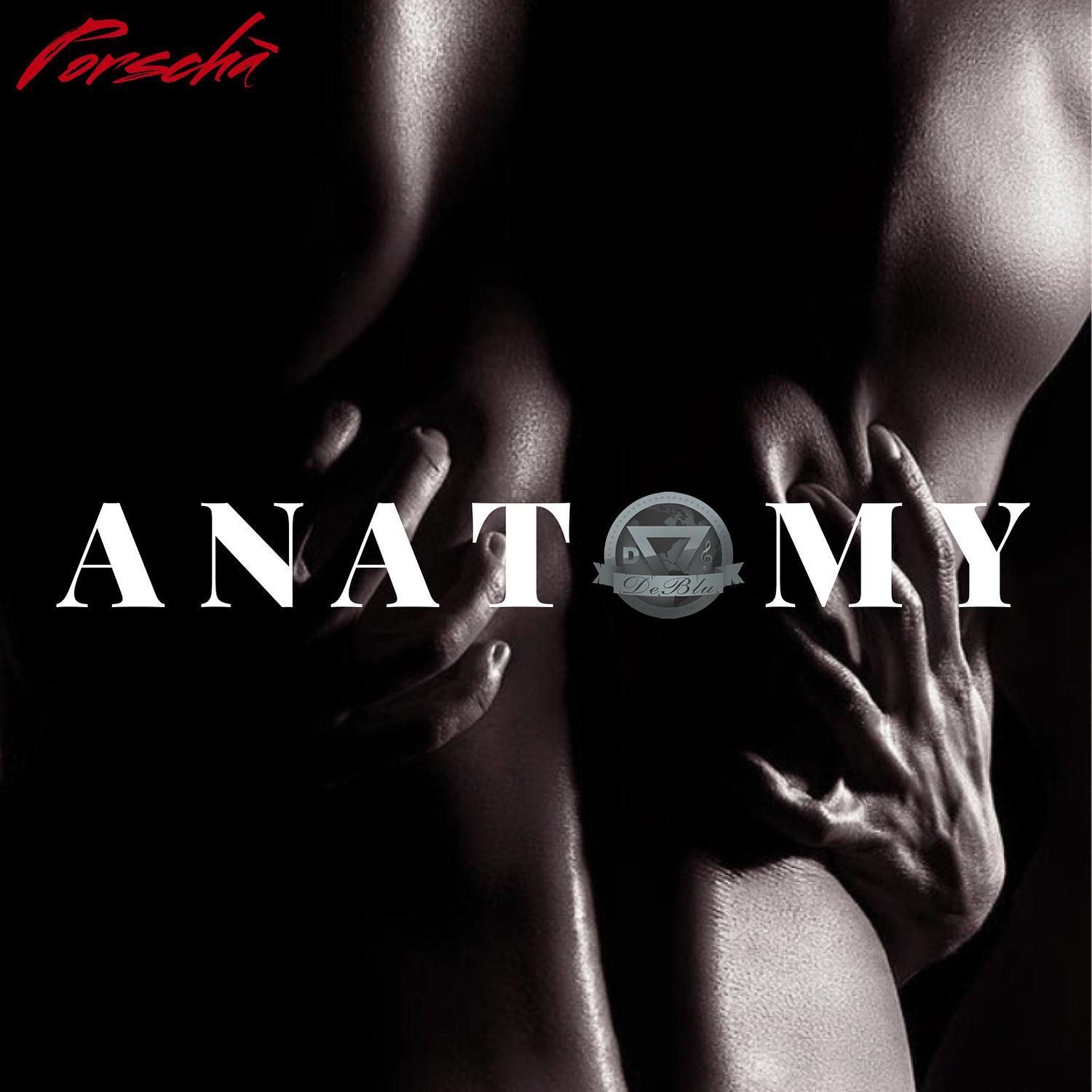 Anatomy