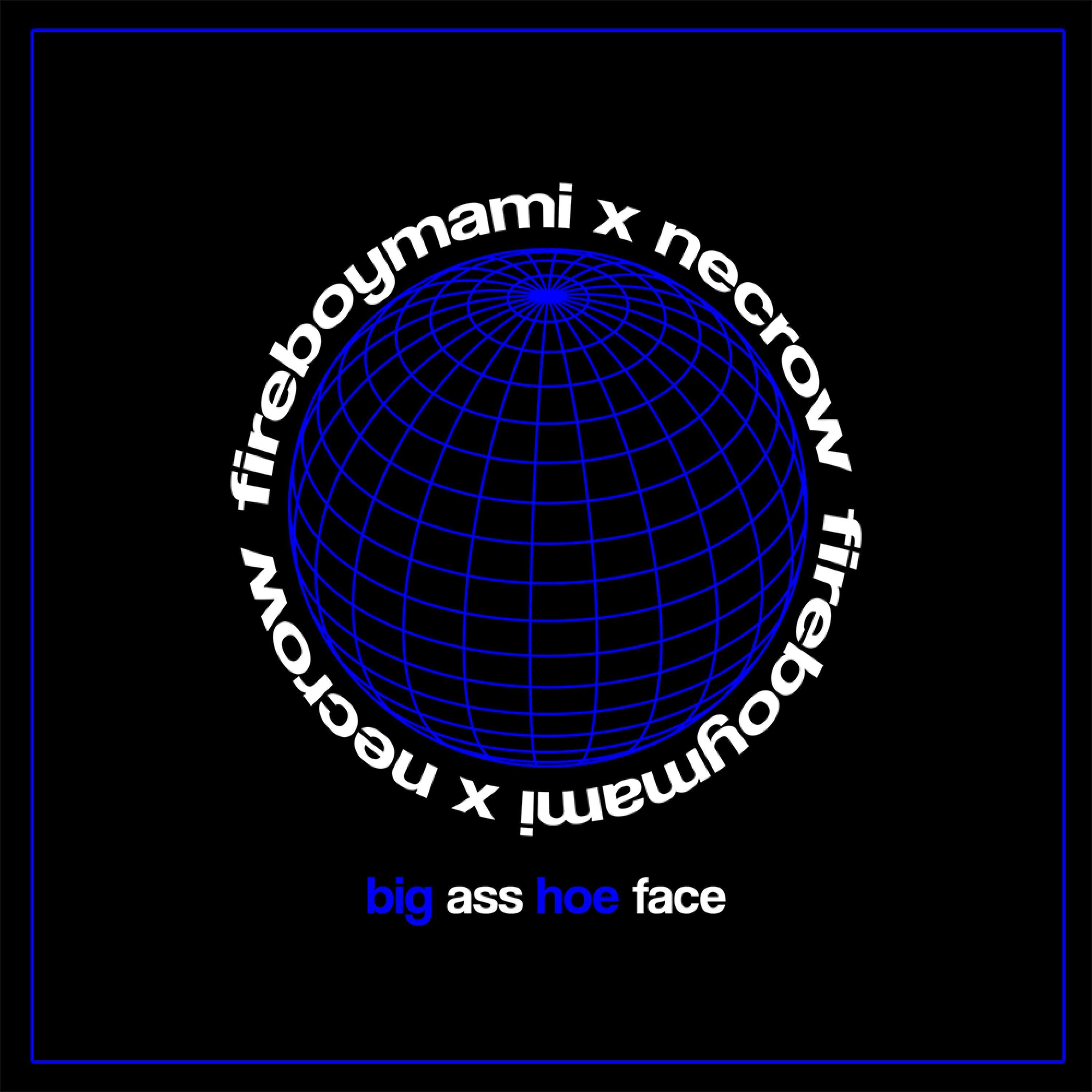 Big Ass Hoe Face (feat. Necrow)