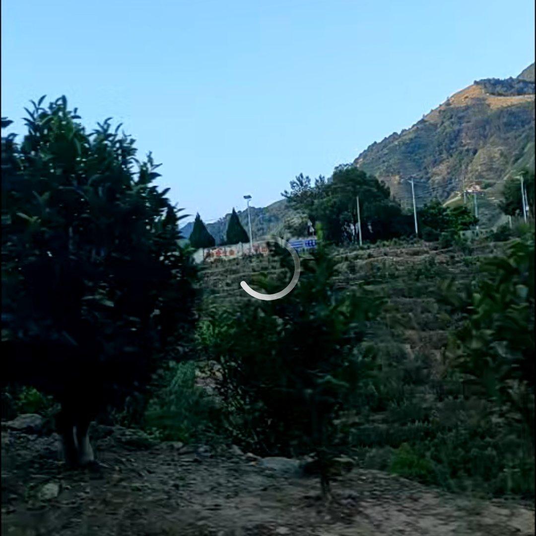 我把我的梦想卖了三两三-八小时时差温暖完整版啦 - 小莉kk封面